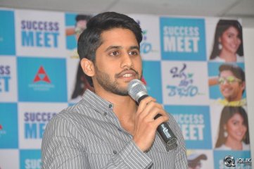Oka Laila Kosam Movie Success Meet
